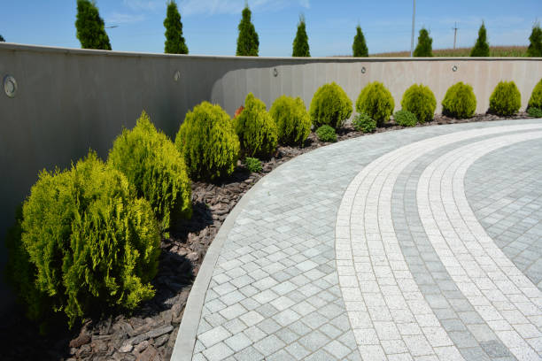 Best Commercial Driveway Pavers  in Margate City, NJ